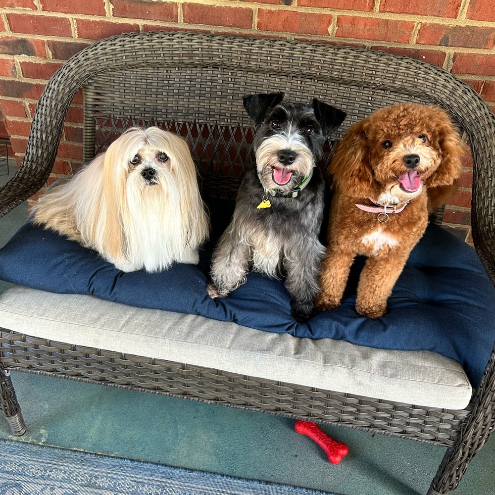 Meet your Posher, Monica